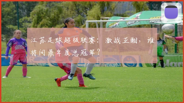 江苏足球超级联赛：激战正酣，谁将问鼎年度总冠军？