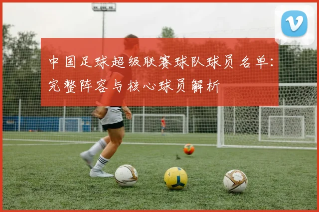 中国足球超级联赛球队球员名单：完整阵容与核心球员解析
